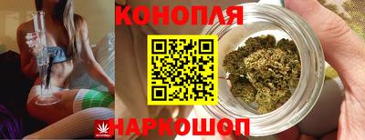 индика Будённовск