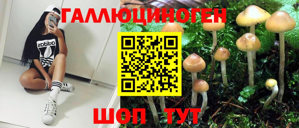 Псилоцибиновые грибы ЛСД Новороссийск