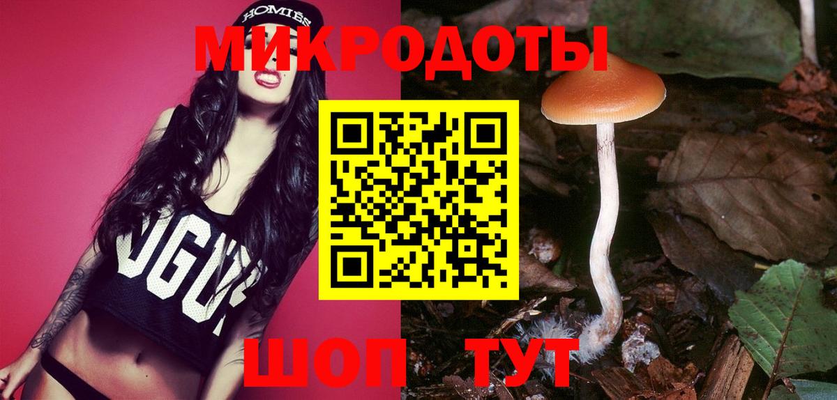 Псилоцибиновые грибы MAGIC MUSHROOMS  Галлюциногенные грибы MAGIC MUSHROOMS  Новороссийск  Вход с VPN 